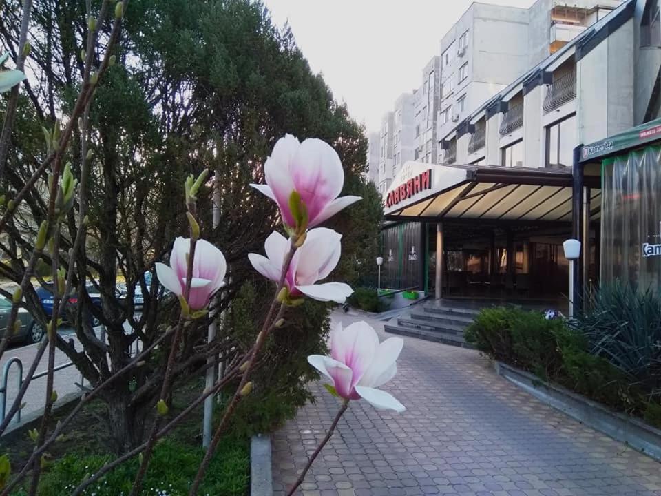 Hotel Slaviani Dimitrovgrad  Extérieur photo